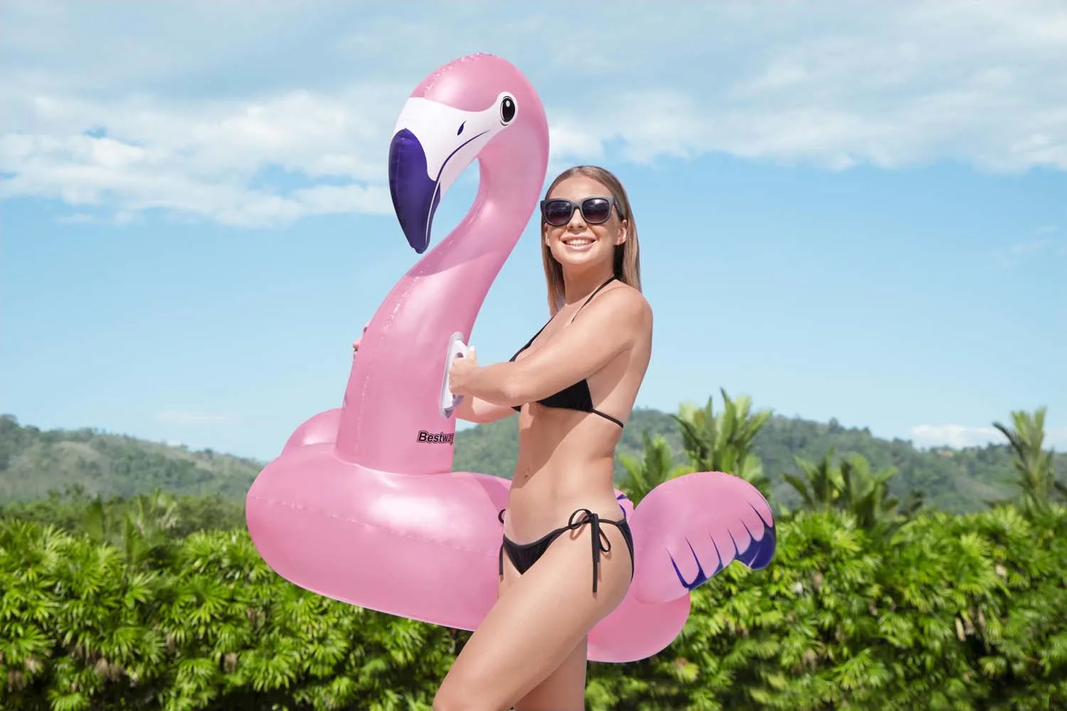 Ride-on Luxury Flamingo - Image 2
