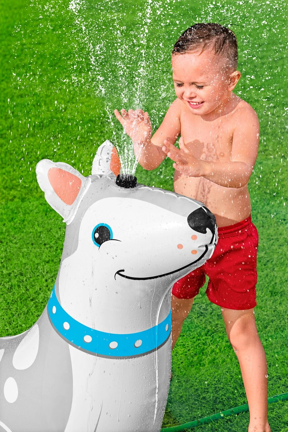 Happy Husky Sprinkler - Image 3