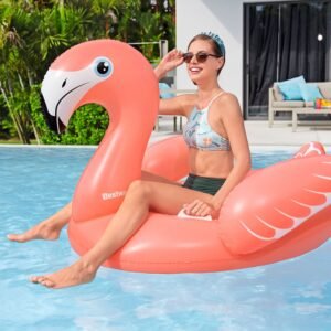 Fancy flamingo Ride-on