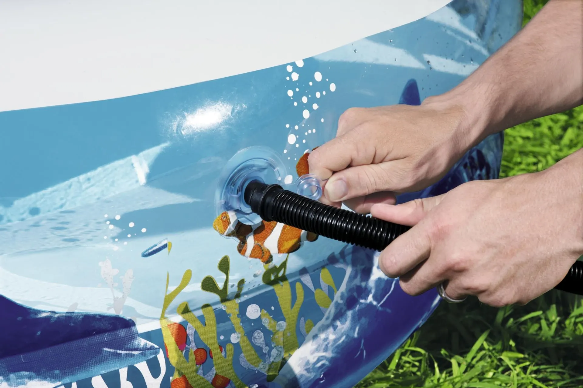 Family Pool Sea Ground - Image 6