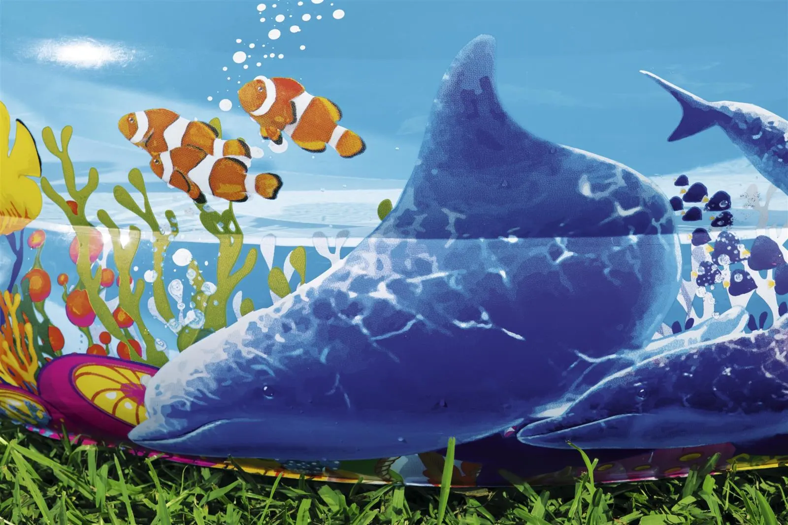 Family Pool Sea Ground - Image 3