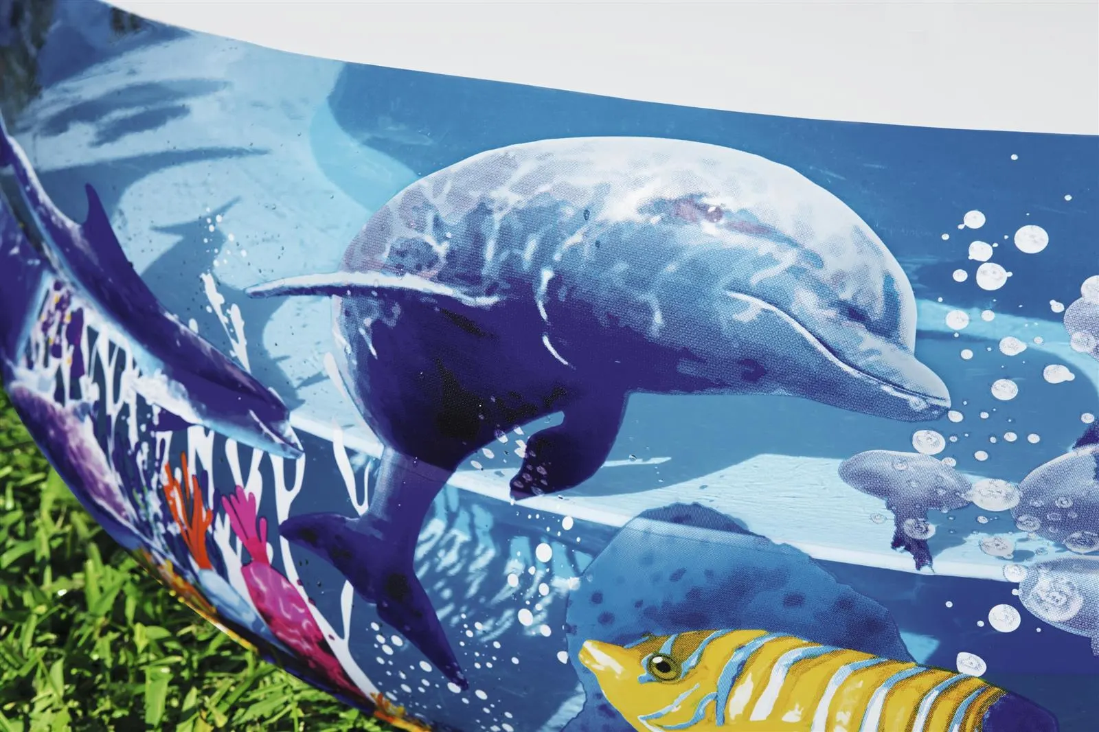 Family Pool Sea Ground - Image 4