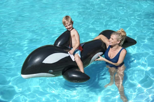 Jumbo Whale Ride-on