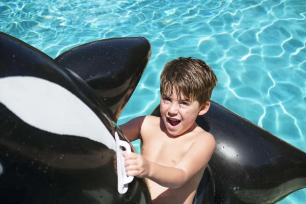Jumbo Whale Ride-on - Image 3