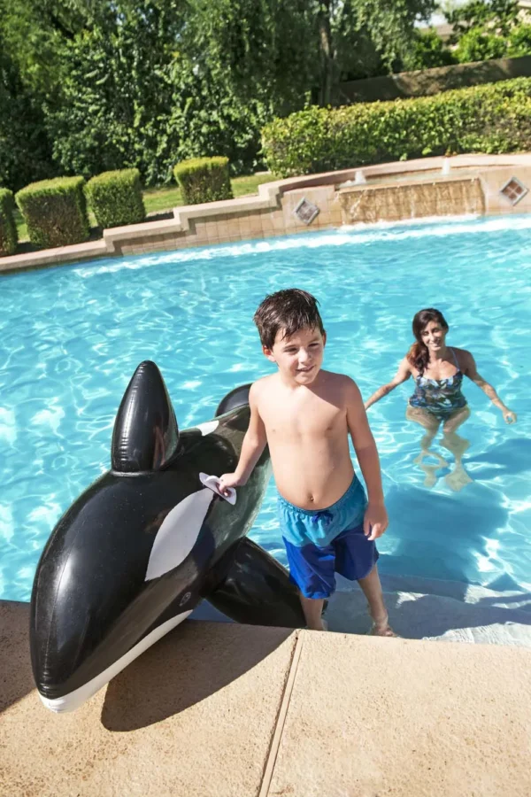 Jumbo Whale Ride-on - Image 2