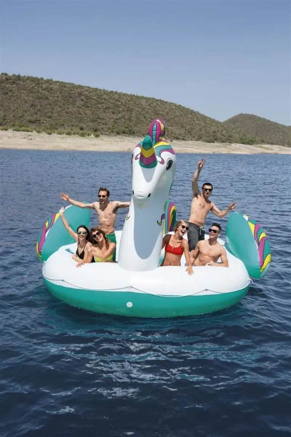 6-person island Unicorn - Image 2