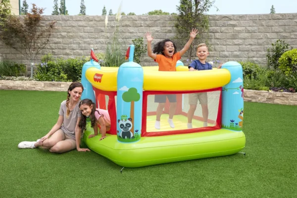 Fisher-Price Bouncetastic Bouncer - Image 2